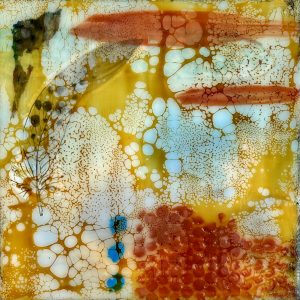 Phylis Barfoot - Elusive Flight