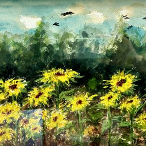 Phylis Barfoot - Field of Gold