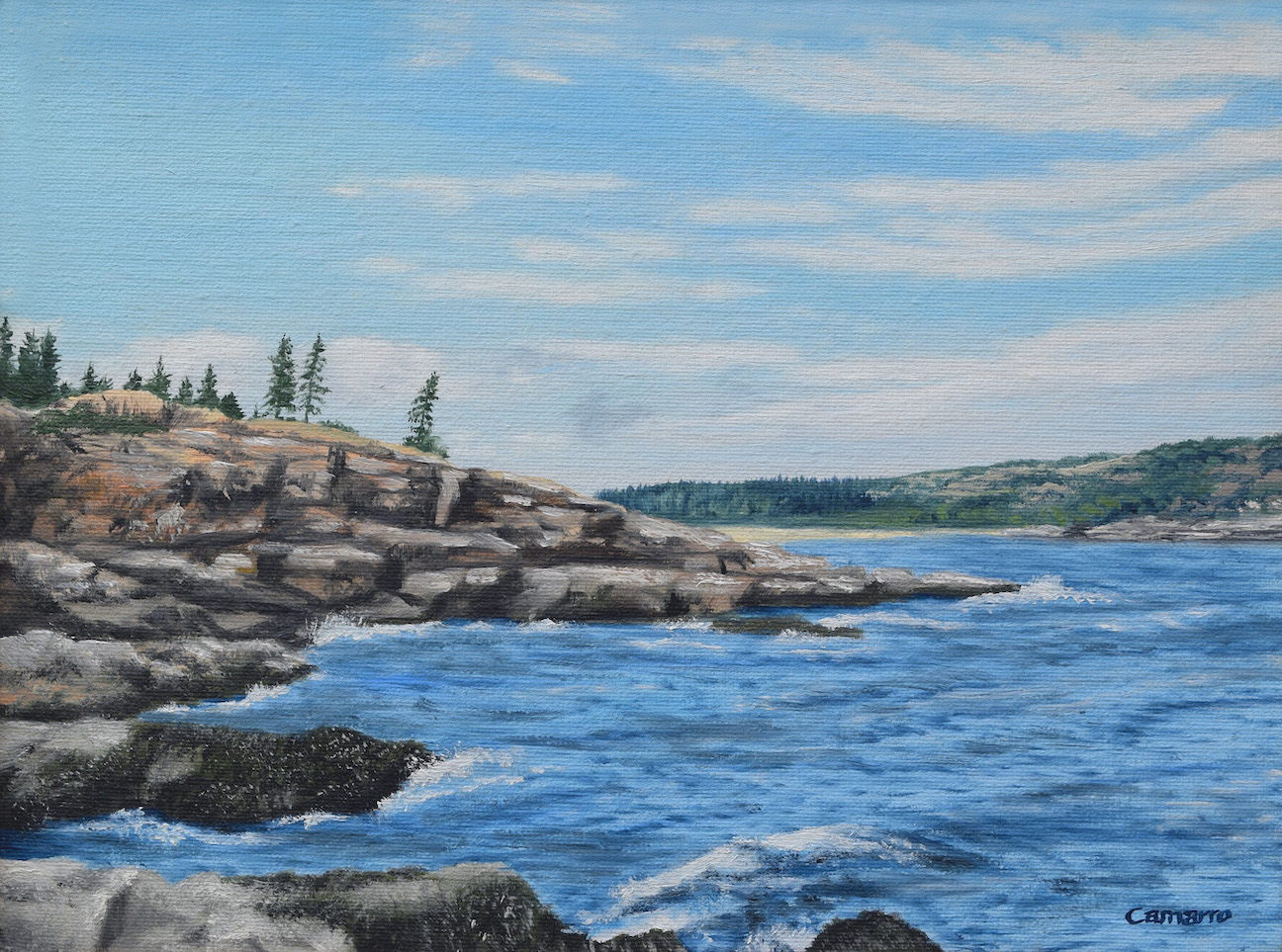 Acadian Coast - Paul Camarro