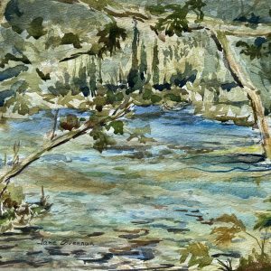 Jane Brennan - Big Flatbrook