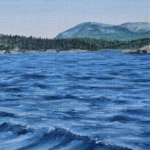 Cadillac Mountain from Great Harbor - Paul Camarro