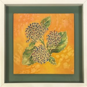 Phylis Barfoot - Hydrangea