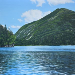 Mount Colden - Paul Camarro