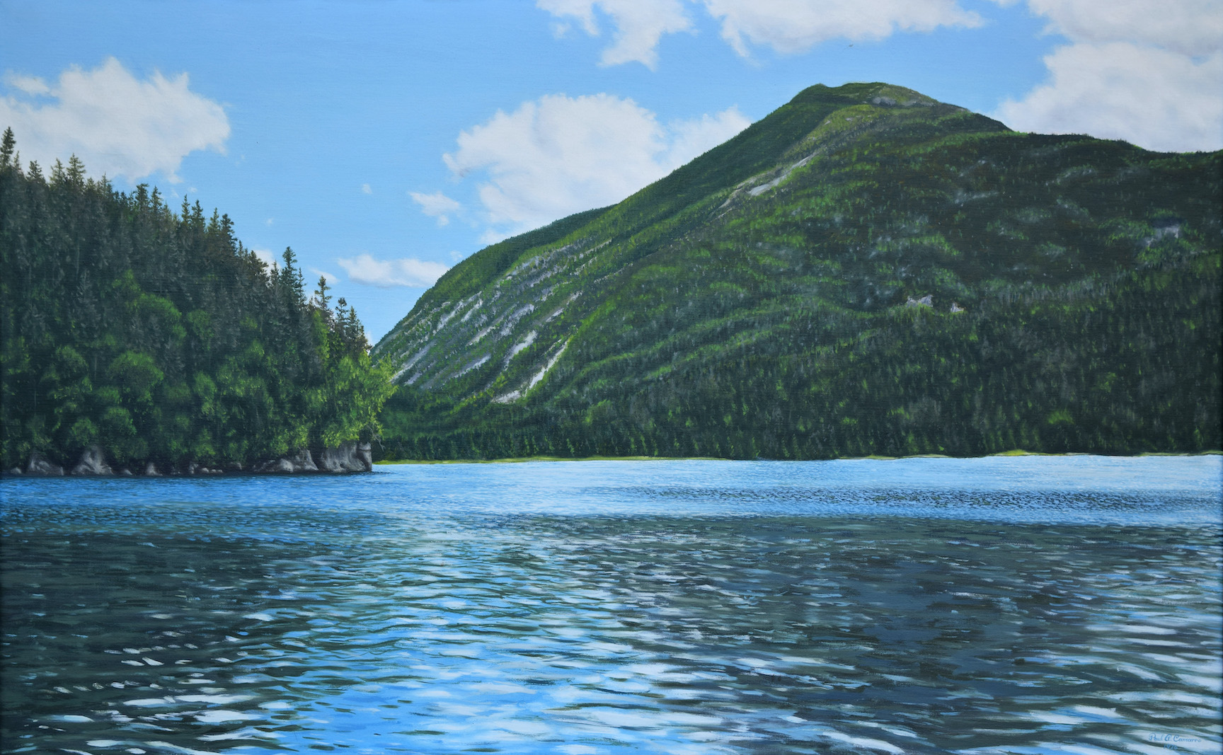 Mount Colden - Paul Camarro