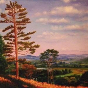 Corine Barton - Pine Tree Sunset