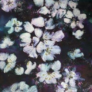 Hibiscus - Natalie O'Neil