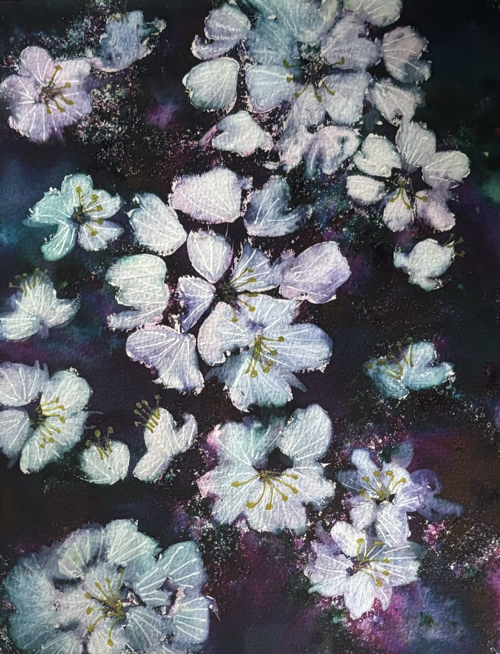 Hibiscus - Natalie O'Neil