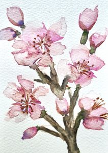 Sakura - Janet O'Neil