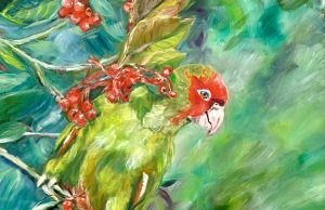Rainforest Parrot - Janet O'Neil
