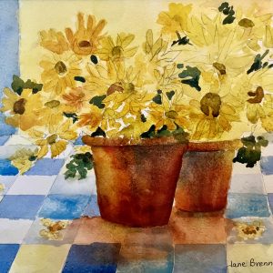 Potted Daisies - Jane Brennan