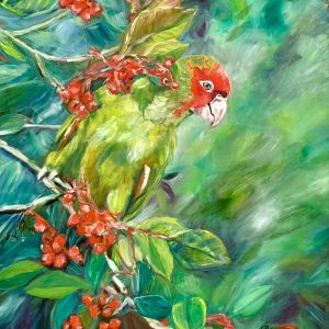 Rainforest Parrot - Janet O'Neil
