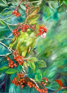 Rainforest Parrot - Janet O'Neil