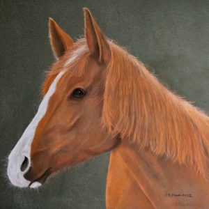 Chestnut Orange - Bruce Young