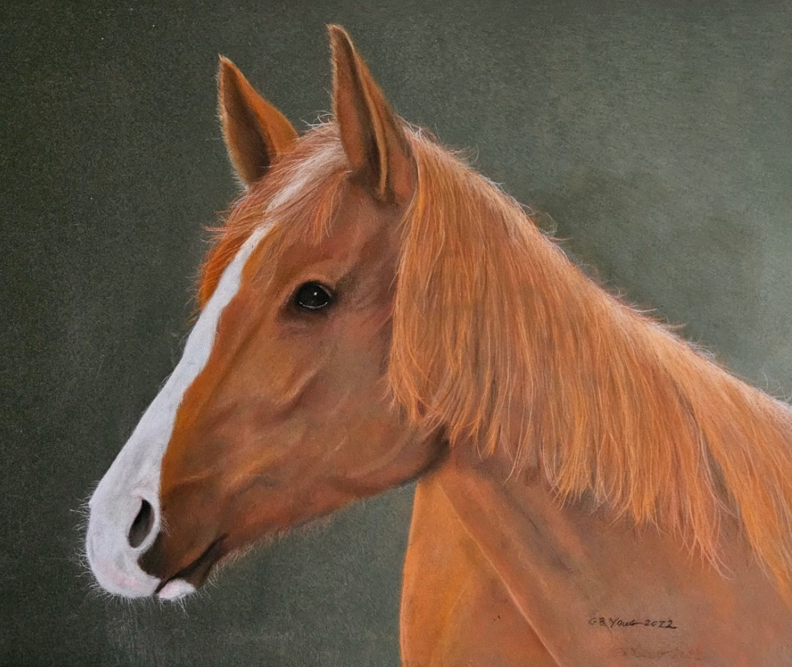 Chestnut Orange - Bruce Young