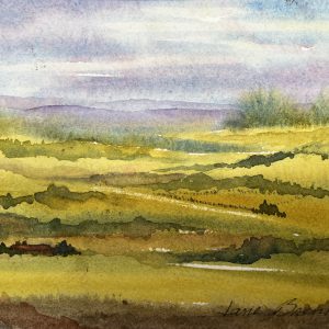 Misty Morning - Jane Brennan