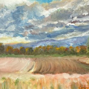 November Sky - Corine Barton
