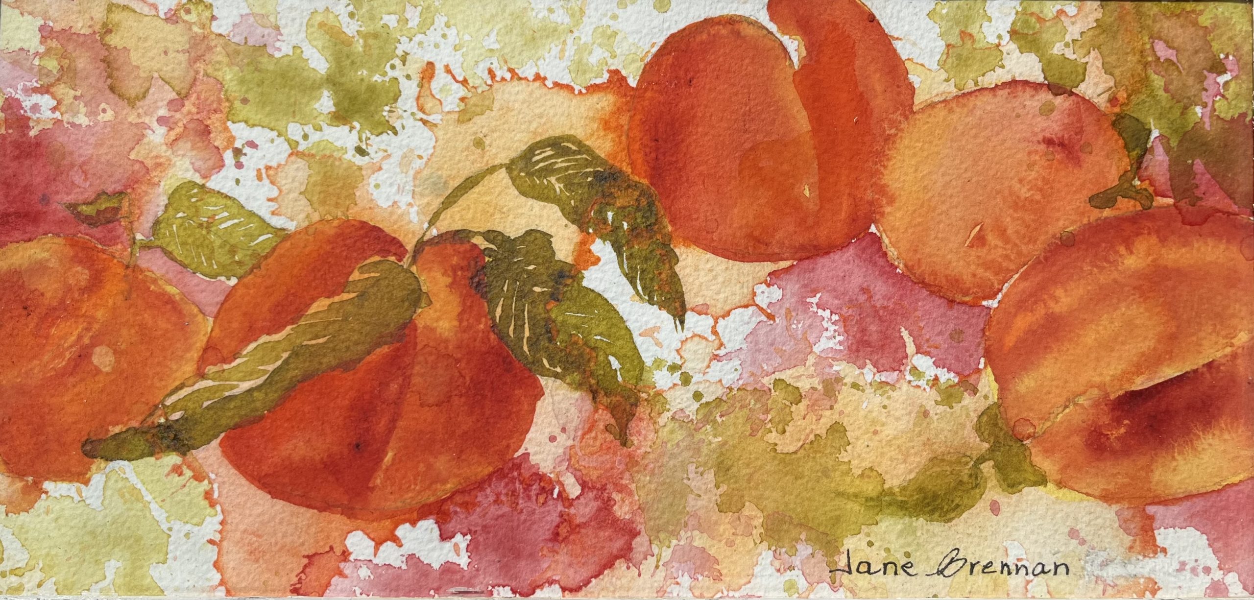Peaches - Jane Brennan