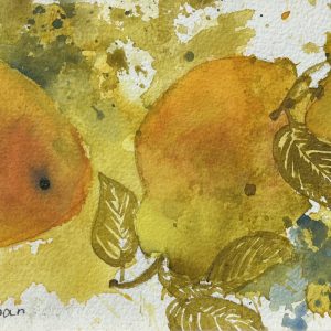 Pears - Jane Brennan