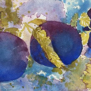 Plums - Jane Brennan
