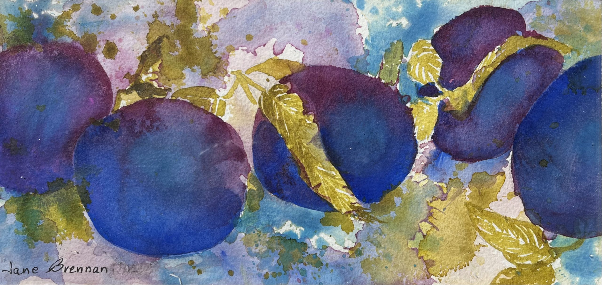 Plums - Jane Brennan