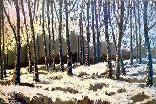 Snowfall at Dawn - Barbara LaTorre