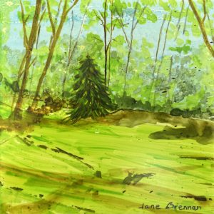 Woods Edge - Tile - Jane Brennan