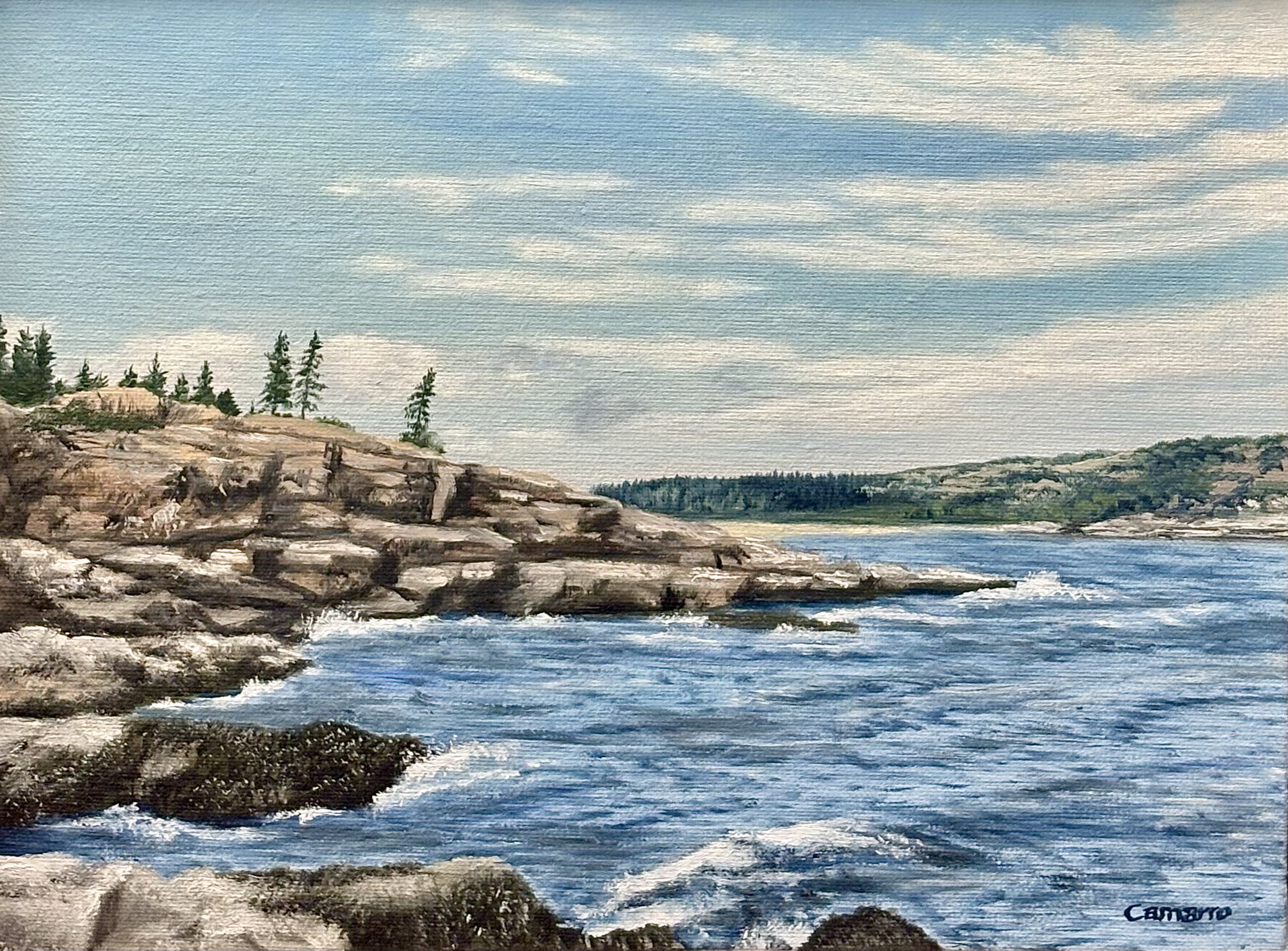 Acadian Coast - Paul Camarro