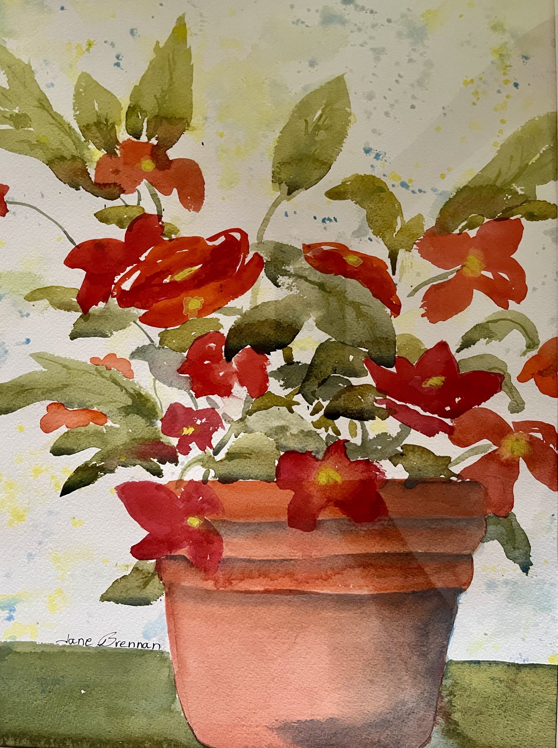 Geraniums - Jane Brennan