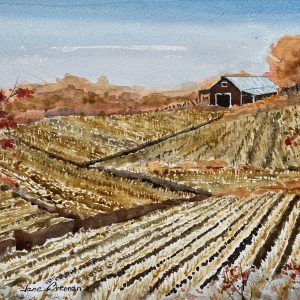 Onion Field - Jane Brennan