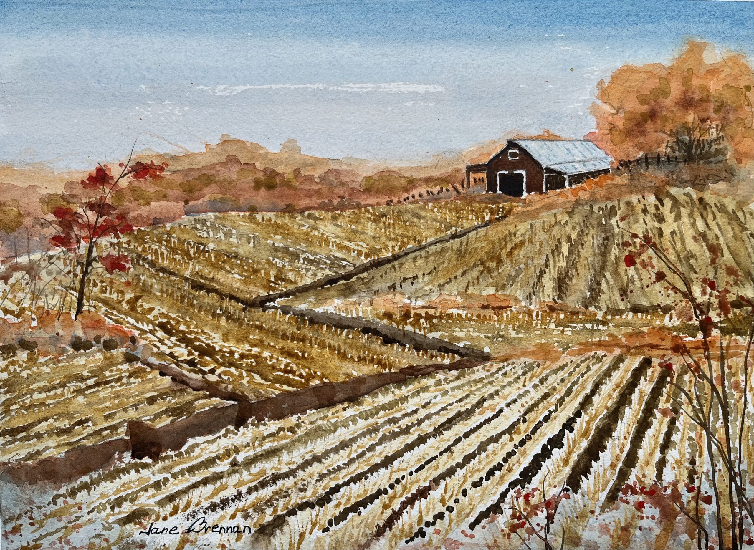 Onion Field - Jane Brennan