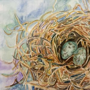 Robin's Eggs - Janet O'Neil