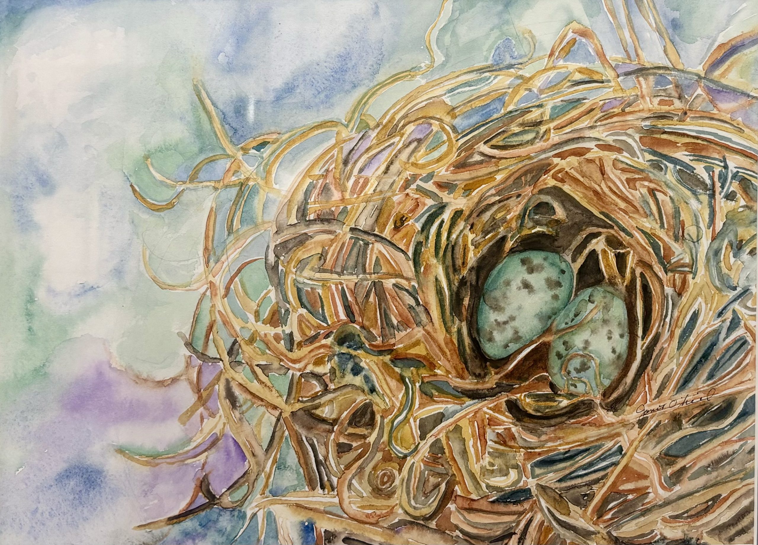 Robin's Eggs - Janet O'Neil