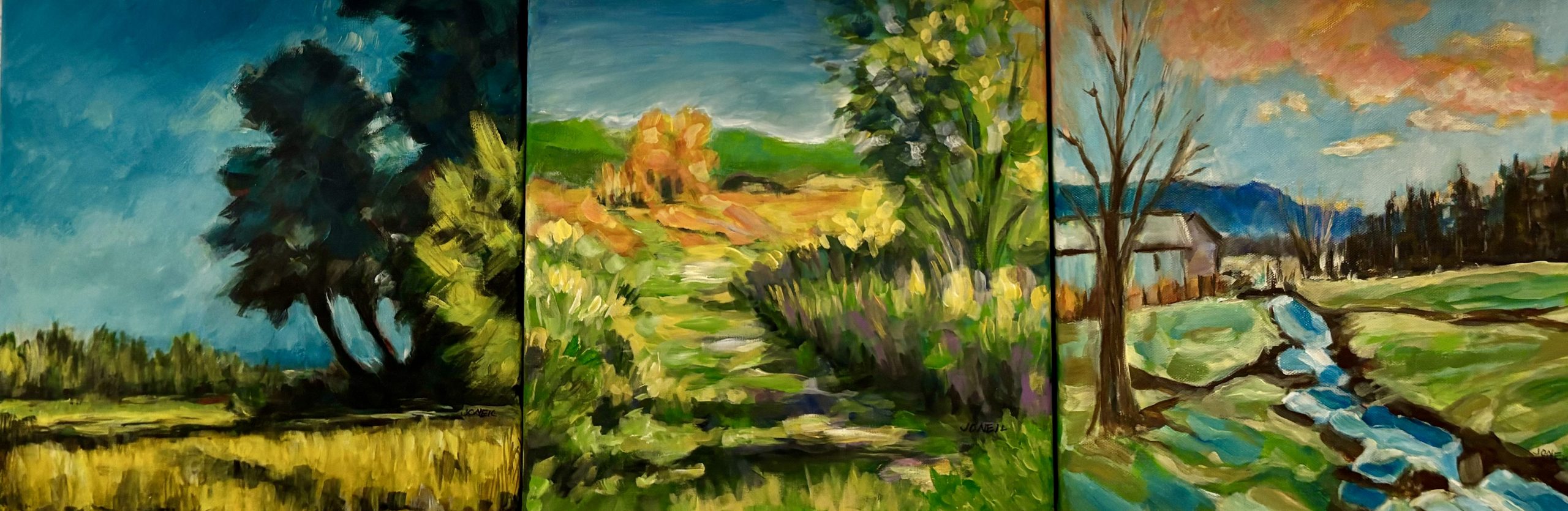 Vermont Trio - Janet O'Neil